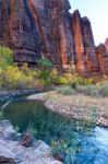 Autumn In The  Virgin River Valley In Zion Stock Photo