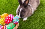 Rabbit And Easter Eggs In Green Grass Stock Photo