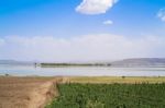 Lake Koka In Ethiopia Stock Photo