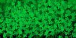 Clover Background Stock Photo