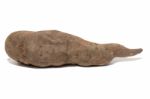 Sweet Potato On White Background Stock Photo