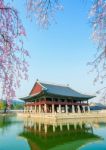 Gyeongbokgung Palace With Cherry Blossom In Spring,korea Stock Photo