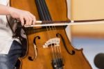 Boy Plays Cello Stock Photo