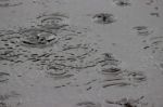 Raindrops Splasing In Puddle Stock Photo