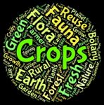 Crops Word Shows Harvests Grains And Grain Stock Photo