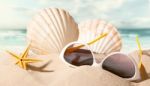 Shell With Sunglasses On Beach Stock Photo