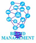 Brand Management Indicates Company Identity And Administration Stock Photo