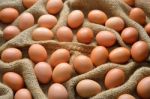 Eggs Stock Photo