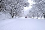 Car And Falling Snow In Winter On Forest Road With Much Snow Stock Photo