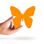 Hand Holding Butterfly Stock Photo