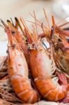 Grilled Shrimp Stock Photo