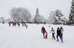 Sledging In East Grinstead Stock Photo