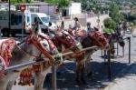 Mijas, Andalucia/spain - July 3 : Donkey Taxi In Mijas Andalucia Stock Photo