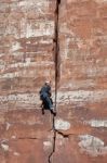 Man Climbing Sheer Rock Face In Zion National Park Stock Photo