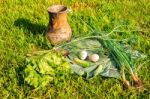 Vegetables And Eggs On Green Grass Stock Photo