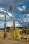 Gros Ventre River Stock Photo