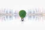 Energy Saving Lamp Of Tree Stock Photo