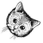 Freehand Sketch Illustration Of Little Cat, Kitten Stock Photo