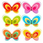 Colorful Butterfly  Stock Photo