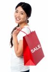 Cheerful Young Shopaholic Girl Stock Photo