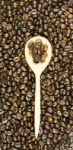 Coffee Beans In Olive Wood Spoon Stock Photo