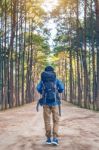 Hiking Man With Backpack Walking In Forest Stock Photo