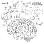 Doodle Human Brain With Infographic Diagram Stock Photo