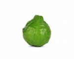 Bergamot Isolated White Background Stock Photo