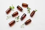 Top View, Bottle Of Essential Oil With Herbs Stock Photo