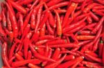 Red Chilli Stock Photo