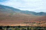 Flowering Desert (spanish: Desierto Florido) In The Chilean Atac Stock Photo