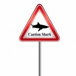 Caution The Shark Stock Photo