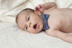 Newborn With Bow Stock Photo