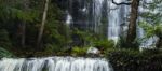 Russel Falls In Mount Field National Park Stock Photo