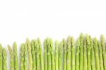 Fresh Green Asparagus  Stock Photo