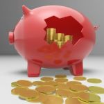 Broken Piggybank Showing Financial Savings Stock Photo