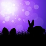 Easter Eggs Shows Bunny Rabbit And Copy-space Stock Photo