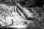 Liffey Falls In The Midlands Region, Tasmania Stock Photo