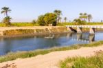 Fisherman On Nile Canal Stock Photo