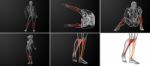 3d Rendering Medical Illustration Of The Tibia Bone Stock Photo