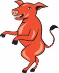 Pig Walking Tall Side Cartoon Stock Photo