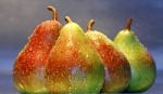 Pears On A Row Stock Photo