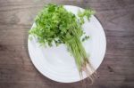 Coriander In White Ceramic Dish On Wooden Background,thai Tradition Herb And Vegetable Stock Photo