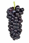 Black Grape Isolated On The White Background Stock Photo