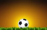 Classic Soccer Ball On Green Grass Stock Photo