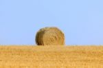 Hay Bale Stock Photo