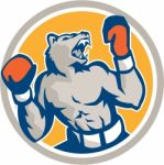 Angry Bear Boxer Gloves Circle Retro Stock Photo