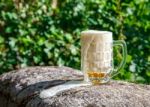 Glass Mug With Beer Standing On The Big Stone Stock Photo