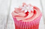 Cupcake Stock Photo