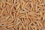 Rice Grain Stock Photo